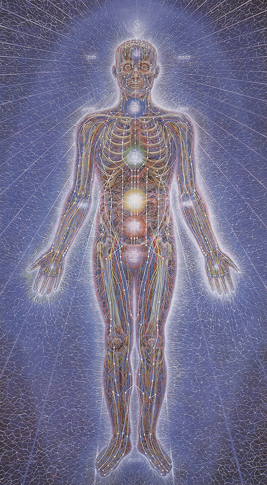 Physical energy field with the 7-chakra system