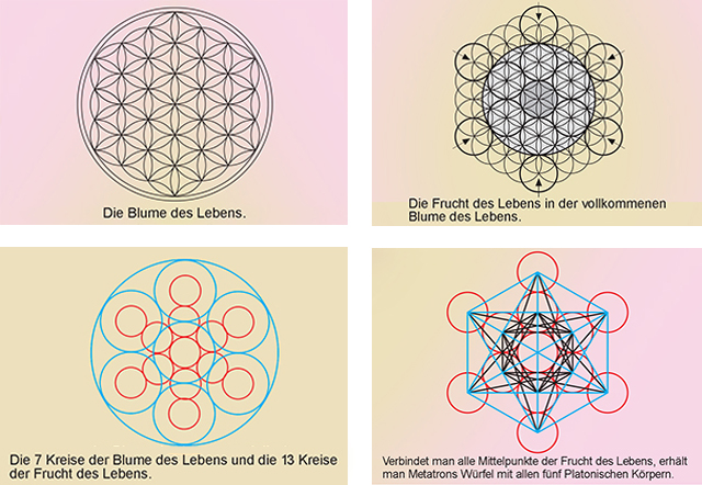 Flower of Life, Fruit of Life, 7 Circles of the Flower of Life, Metatron's Cube